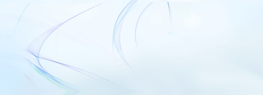 Web漏洞扫描工具