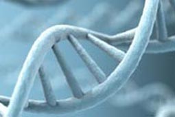 价格实惠的在线DDOS攻击平台